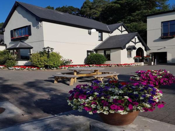 Aherlow House Hotel & Lodges Eksteriør billede