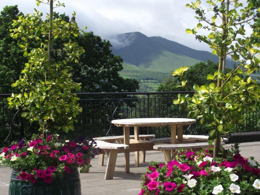 Aherlow House Hotel & Lodges Eksteriør billede